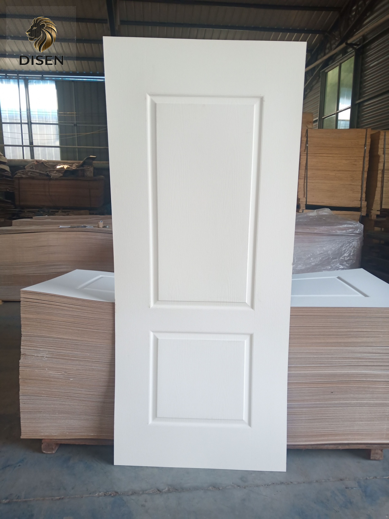 Door Skin 6