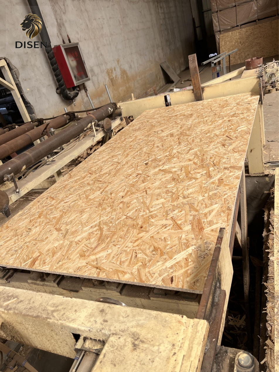 OSB detail