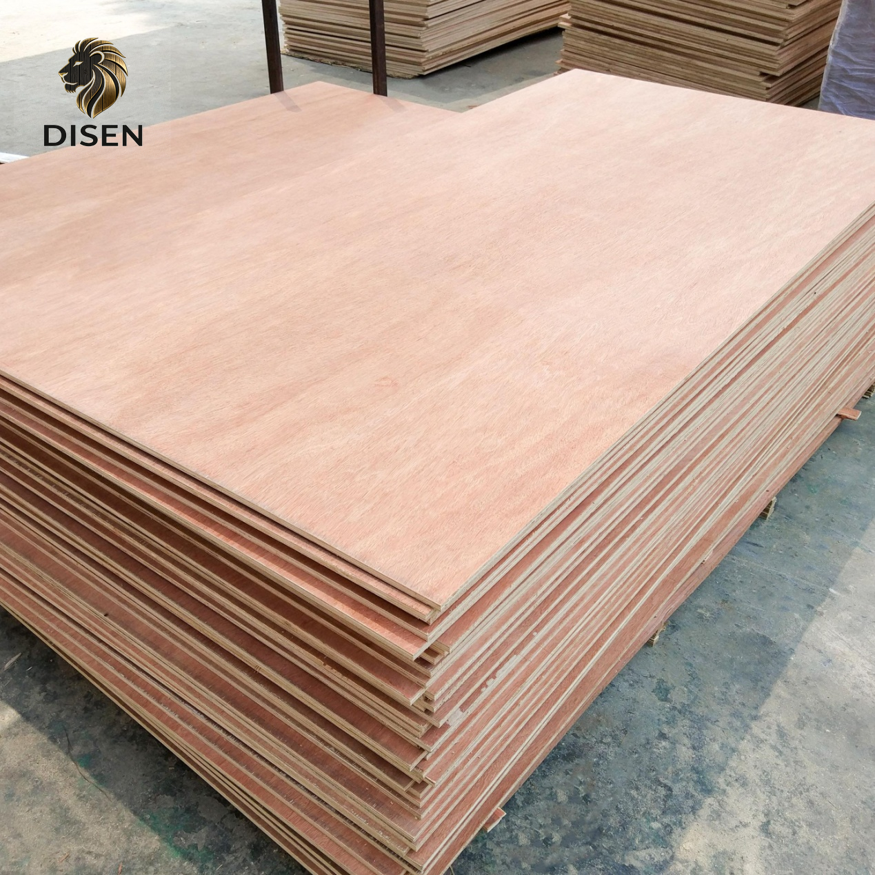 Plywood 5