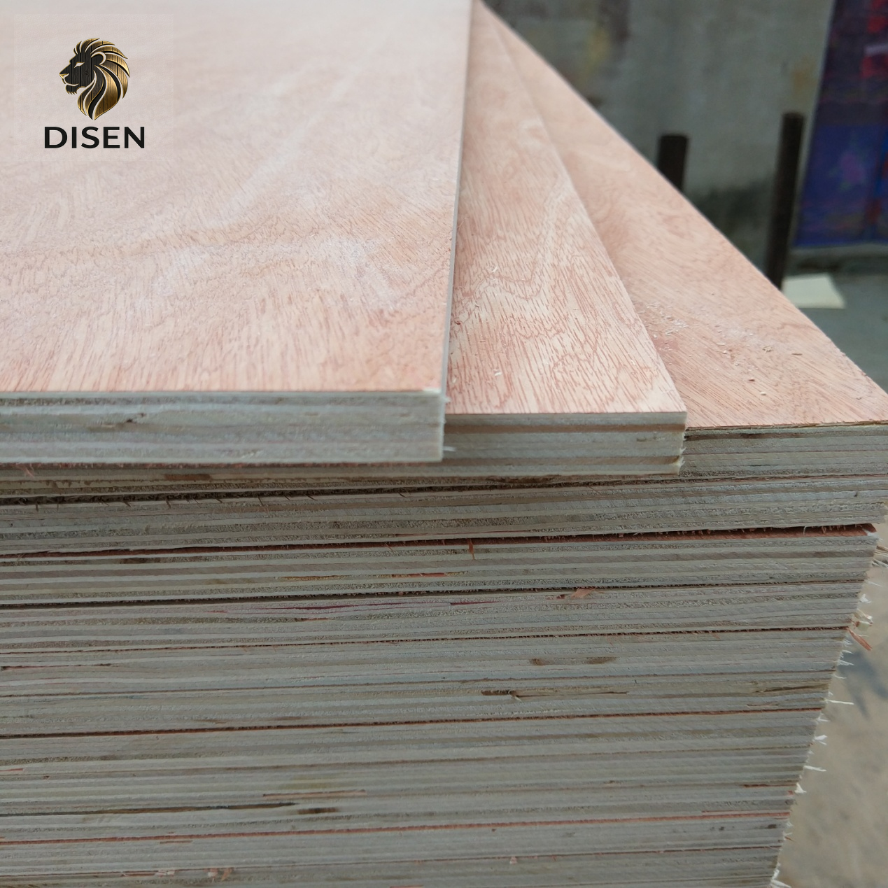 Plywood 6